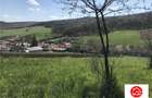 Teren de 6500 mp, în Remetea - 3