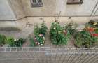 Apartament cu 3 camere decomandat în Central - 7 Apartament cu 3 camere decomandat în Central - 7