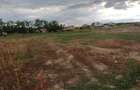 Teren intravilan de 800 mp, în Cihei - 7