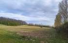 Teren imprejmuit 6,40 ha - 4