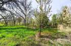 Casa la tara, gaz, acces auto, teren 4122 mp Petid, Bihor VANZARE - 16