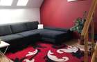 Apartament de inchiriat zona Nufarul 1500 lei - 3