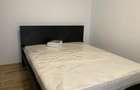 Apartament cu 2 camere semidecomandat în Ozana - 9