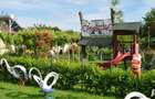 Un camping in inima Deltei - 8