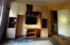 Apartament cu 2 camere  la parter, in Astra, Brasov - 6