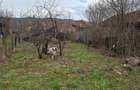 Casa Comuna Balanesti sat Voitestii din Vale jud. Gorj - 5