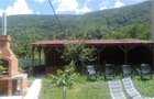 Casa de vacanta in Herculane - ID : RH-23254-property - 6