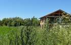 Teren intravilan de 2000 mp, în Hălchiu - 4