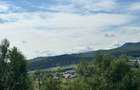 Teren 3.552 mp de vanzare (scrie pe whatsapp) Marginea, zona Dealu Fatului - 2