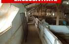 Spațiu industrial, de 317.60000610352 mp, în Est - 2