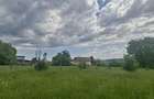 vant urgent teren 5000mp in localitatea hales - 4