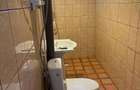 Apartament Potile de Fier 2 Gogosu - 6