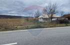 Teren Construcții de 7000 mp, în Sănduleni - 3
