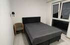 Apartament de inchiriat cu 3 Camere mobilat, Adora Park - 10