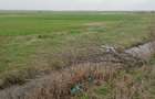 vand teren agricol extrvilan 8.14 ha.
