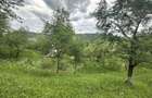 Agentia imobiliara VIGAFON vinde teren intravilan Telega-Prahova - 4