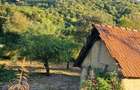 Casă cu 3 camere în Căpruța - 3