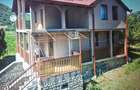 Casă cu 3 camere în Băile Herculane - 2