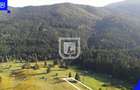Teren extravilan de 3197 mp, în Frasin - 2 Teren extravilan de 3197 mp, în Frasin - 2