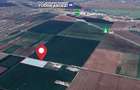 Teren Construcții intravilan de 25000 mp, în Sud - 6