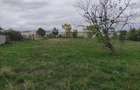 Teren de 1460 mp, în Măureni - 3