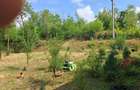 Casă individuală cu 2 camere cu Teren 2000 Mp în Surani - 10