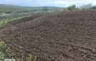 Teren intravilan Comarna, ID: R3075287 - 5