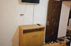 Inchiriz apartament 2 camere Cuza Voda - 9