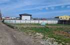 Teren de vanzare in Palazu Mare, Elvila - 973 mp - 3