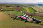 Teren agricol extravilan de 18000 mp, în Exterior Est - 14