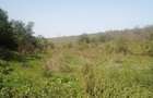 Teren intravilan de 2472 mp, în Malcoci - 3 Teren intravilan de 2472 mp, în Malcoci - 3