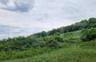 Teren extravilan de vanzare Vlaha 14.500 mp, zona superba - 2