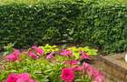 Apartament 2 camere onesti - 8