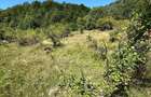 Teren 3.552 mp de vanzare (scrie pe whatsapp) Marginea, zona Dealu Fatului - 6
