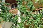 Vila multifamiliala /3 apartamente  si 1  studio /Sector  2 /curte individuala - 1