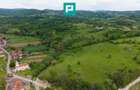 Proprietate de poveste pe Valea Mure?ului, Lupe?ti - 4