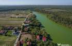 BRANESTI, TEREN 1400 MP, DESCHIDERE 32 MP, VEDERE LA LAC! - 5