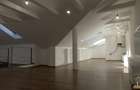 Spațiu comercial, de 204 mp, în Andrei Mureșanu - 8