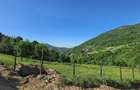 Teren intravilan Muntele Rece | 1.812 mp | Priveliste panoramica - 2