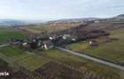 Teren 19.375 mp Dambu Rotund. Potential rezidential. Extravilan - 13