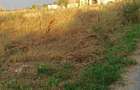 Teren intravilan de 1500 mp, în 1 Decembrie - 5
