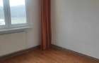 Apartament cu 2 camere decomandat în Bejan - 11
