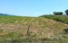 Vand teren intravilan in Vechea,Com.Chinteni,Cluj - 1