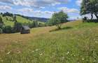 Teren de vanzare extravilan in Bucovina zona Breaza