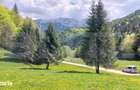 Teren exceptional de vanzare, 5170 mp zona Plaiul Foii, Zarnesti