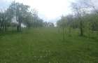 Teren intravilan 1700 mp - Drajna de Jos, Poiana Mierlei 15/mp, neg - 7