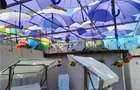 Casă individuală cu 10 camere cu Teren 382 Mp în Central - 11