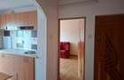 Apartament cu 2 camere decomandat în Canta - 16