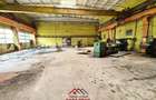 Hale industriale in Campina--200e mp - 11