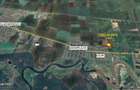 2 ha teren de vanzare in Vladimirescu- Cicir - 5